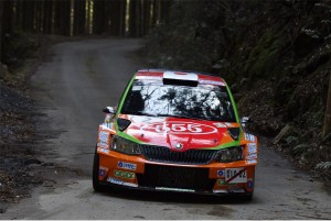 WRC 写真2