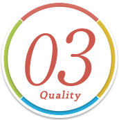 03 Quality Check
